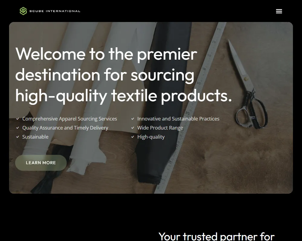 Scube International home page on a desktop screen